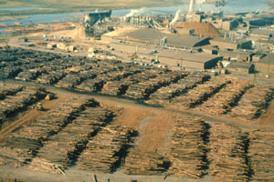 Birds-eye view of stacked logs at mill