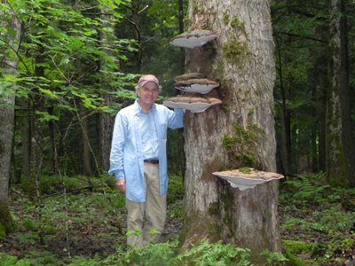Bob with Ganoderma applanatum in northern Wisconsin.