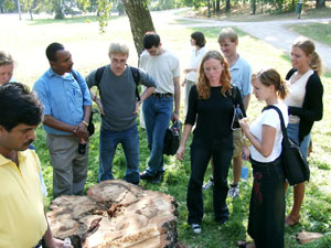 Students looking at a tree stump