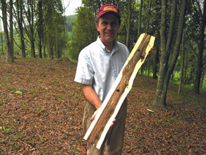 Professor Blanchette with cultivated agarwood