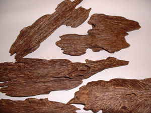 Pieces of agarwood