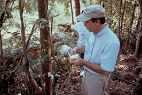 Professor Blanchette at one of the field experiment sites