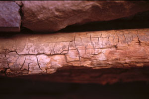 Soft rot in wood lintel