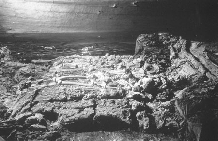 Remains of wooden coffin with bones of King Midas
